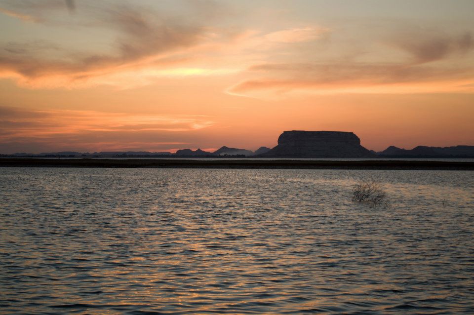 Illustration of the Enchanted Forest