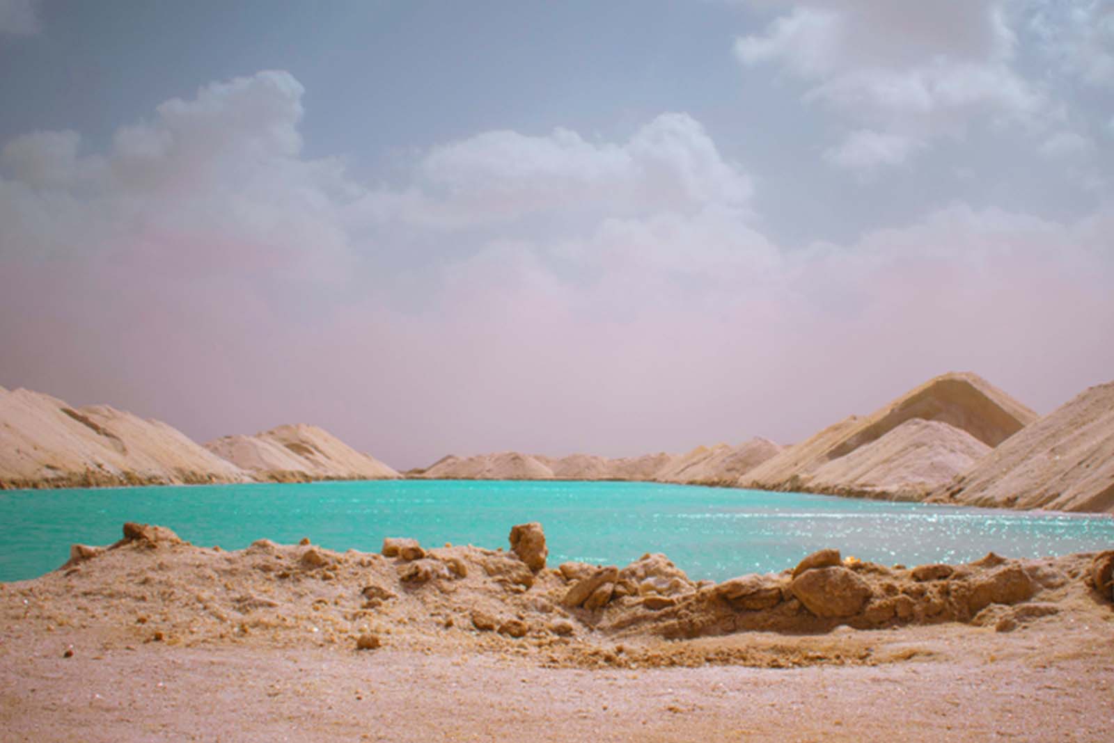 Illustration of the Enchanted Forest